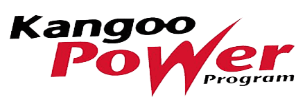 Kangoo Power program logo